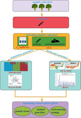 Frontiers | Landscape Genomics In Tree Conservation Under A Changing ...